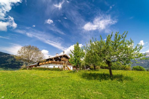 Haslinghof Saalfelden Am Steinernen Meer